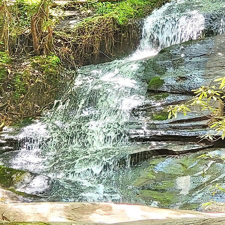 Luxury Cabin With Waterview And Privacy, Hiking Blue Ridge Kültér fotó