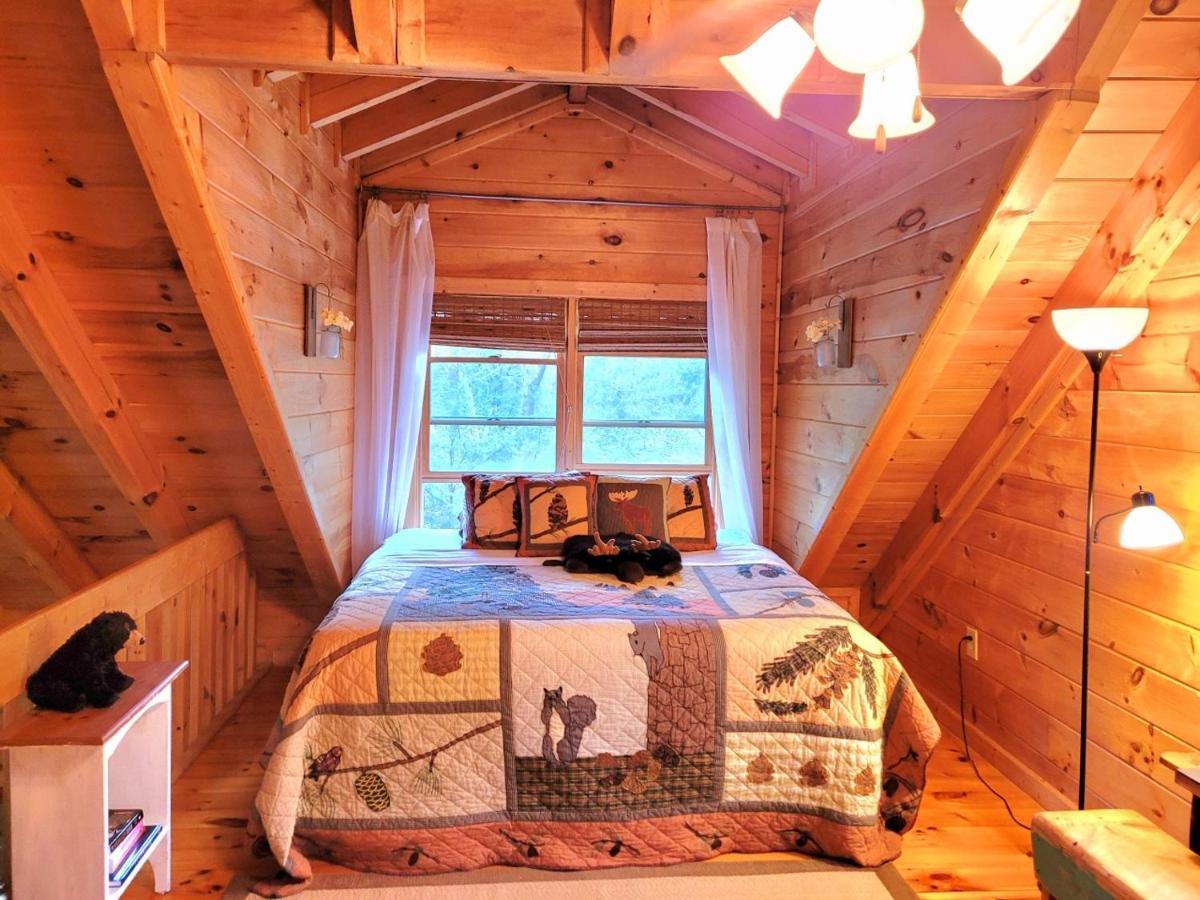 Luxury Cabin With Waterview And Privacy, Hiking Blue Ridge Kültér fotó