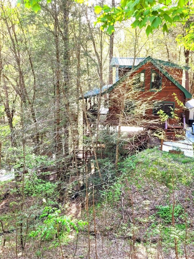 Luxury Cabin With Waterview And Privacy, Hiking Blue Ridge Kültér fotó